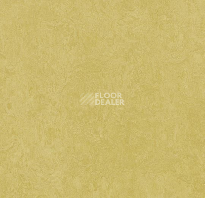 Линолеум Forbo Marmoleum Decibel on Order 325935 mustard фото 1 | FLOORDEALER